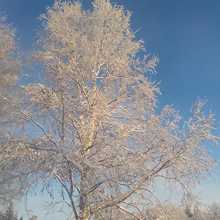 Caravan Alpehytte Tornio