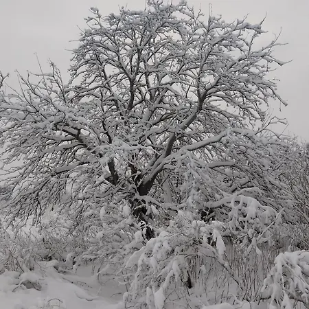 Dağ evi Caravan Tornio