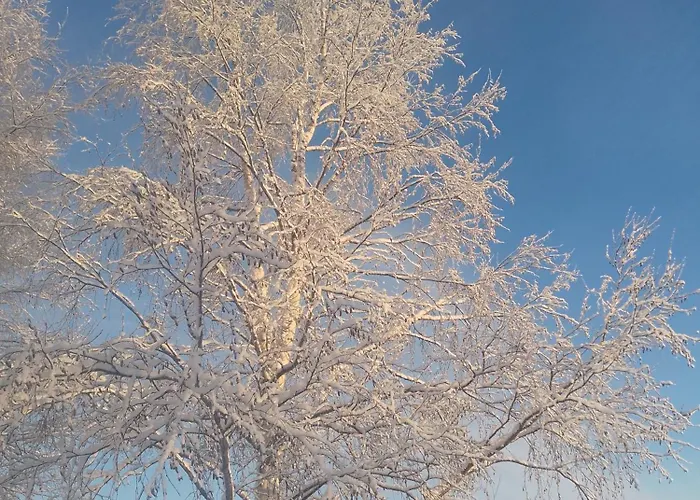 Caravan בקתה טורניו