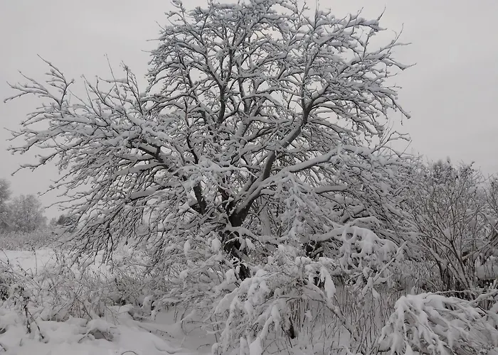 בקתה Caravan טורניו